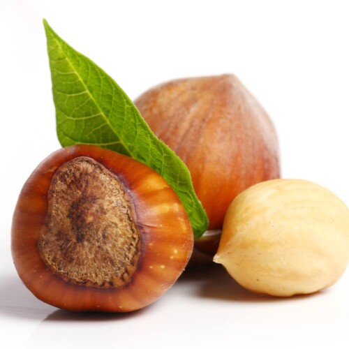 Plant-ex natural hazelnut flavour