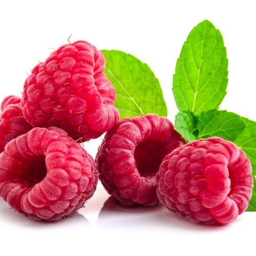 Plant-ex natural raspberry extract or flavour