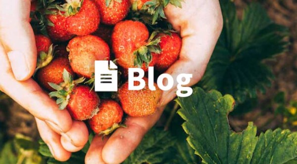 organic vs natural blog
