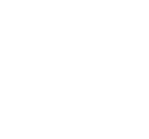 Sustainability series txt